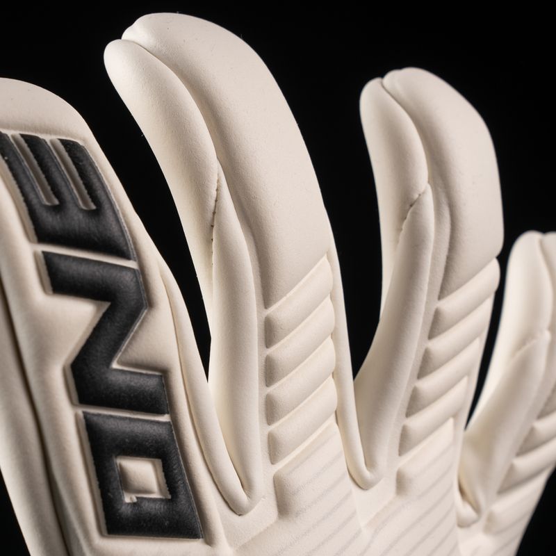 NXT Pro SL